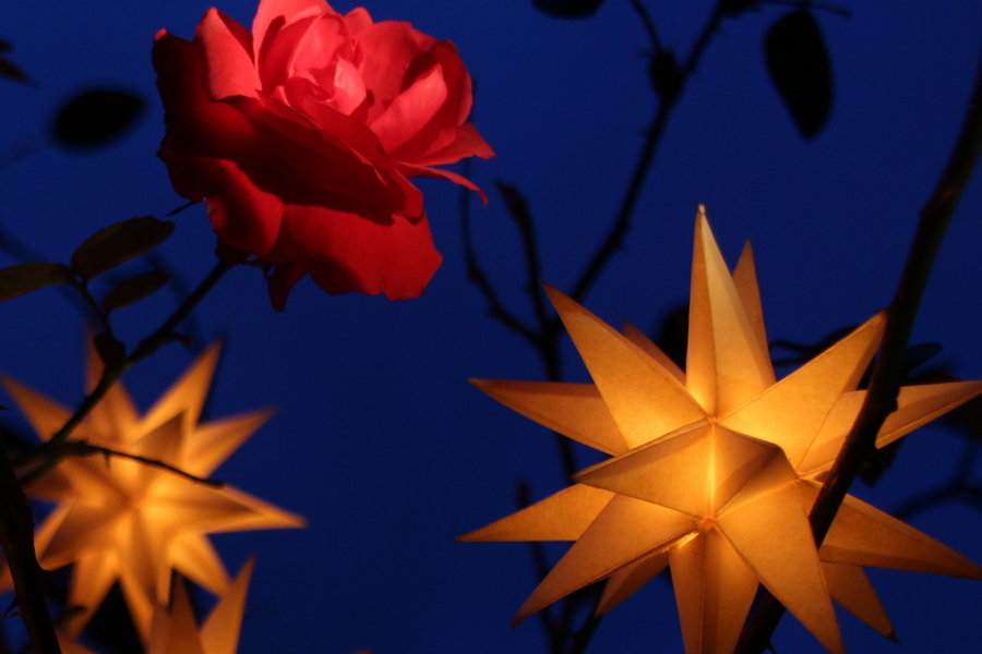 Weihnachten und Jahreswechsel